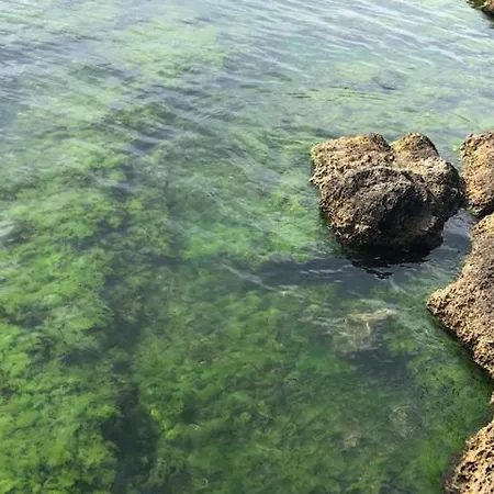 Lägenhet Bulgarien, 2-zimmer-ferienwohnung Am Schoensten Strand Des Landes *